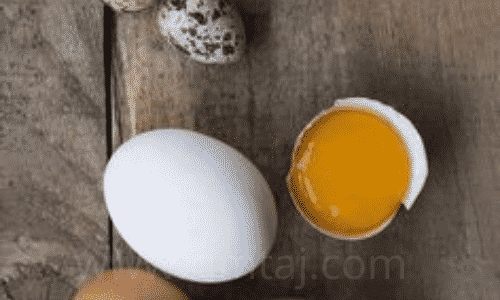 بروتين طبيعي للشعر المجعد 7 ماسك البيض والزبادي