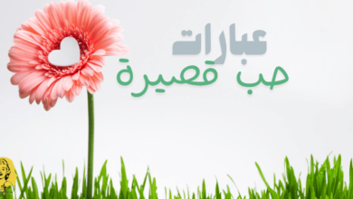 اجمل عبارات الحب,عبارات عن الحب,الحب,عبارات حب وعشق,اجمل عبارات حب,عبارات للحبيب المفقود,كلمات الحب,عبارات حب قصيره,عبارات تحبها المرأة,عبارات فخمة,عبارات تحبها المرأة 5,عبارات عميقة,عبارات تذيب المرأة,عبارات تذيب قلب المرأة,عبارات سوف تذيب قلب من تحب,مشاعر الحب عبر السنين,كلام في الحب يسرا,رسائل الحب,شعر عن الحب,كلام فى الحب,كلام في الحب,كلام في الحب ام كلثوم,كلام في الحب والغرام,مقاطع حزينه عن الحب انستقرام,كلام في الحب نور الغندور،عبارات حب قصيرة,عبارات حب قصيرة للواتس,عبارات حب قصيره,عبارات حب قصيره كتابه,عبارات حب قصيره للواتس,عبارات حب,عبارات حب وغزل عبارات حب قصيره,عبارات حب كتابه,عبارات حب للواتس اب قصيره,عبارات حب للحبيب,عبارات حب للزوج قصيره للواتس,عبارات حب وعشق,عبارات حب وغرام,عبارات حب جميله,عبارات حب للزوج,عبارات حب جديده,عبارات حب للزوجة,رسائل حب قصيرة,عبارات حب ورومنسية,عبارات حب رومانسيه,عبارات حب رومانسية,كلمات حب بالانجليزي قصيرة جدا,عبارات رومانسية