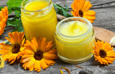 الأذريون,أذريون,آذريون,أذريون الحدائق,عشبة البابونج,فوائد عشبة نجمة الأرض الصحية للأنسان,زهرة الاذريون,زراعة الاذريون,عشب,بالعشب,10مليون,تلفزيون,تلفزيوني,ريفريش بلس,حلقة المليون,العربية أونلاين,الاصابة بالكبتريا الحلزونية,التلفزيون العربي,تونس,#العربية_10مليون,شبكة,البكتريا الحلزونية,اعشاب,ليمون,تريند,سريعة,سوريا,راديو,اين يوجد عنصر الكبريت,السكري وتنميل الاطراف,علاج القولون بالاعشاب,خواريف,امريكا,السكري,فطريات,أمريكا