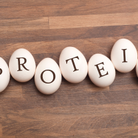 نتائج نقص البروتين في الجسم, نقص البروتين في الجسم, علاج نقص البروتين في الجسم, اضرار نقص البروتين في الجسم, اعراض نقص البروتين في الجسم, اسباب نقص البروتين في الجسم, نقص البروتين في الدم, نقص البروتين وأثره على الجسم, اعراض زيادة البروتين في الجسم, أسباب نقص البروتين في جسم الإنسان, اسباب نقص الالبومين في الجسم, اعراض نقص الالبومين في الجسم, علامات تدل على نقص البروتين في جسمك, نقص البروتين, زيادة نقص البروتين, هل نقص البروتين, تأثيرات نقص البروتين, اعراض نقص البروتين, خطورة نقص البروتين, علامات نقص البروتين