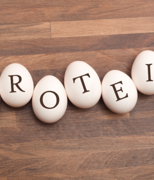 نتائج نقص البروتين في الجسم, نقص البروتين في الجسم, علاج نقص البروتين في الجسم, اضرار نقص البروتين في الجسم, اعراض نقص البروتين في الجسم, اسباب نقص البروتين في الجسم, نقص البروتين في الدم, نقص البروتين وأثره على الجسم, اعراض زيادة البروتين في الجسم, أسباب نقص البروتين في جسم الإنسان, اسباب نقص الالبومين في الجسم, اعراض نقص الالبومين في الجسم, علامات تدل على نقص البروتين في جسمك, نقص البروتين, زيادة نقص البروتين, هل نقص البروتين, تأثيرات نقص البروتين, اعراض نقص البروتين, خطورة نقص البروتين, علامات نقص البروتين